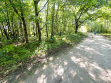 P8290820.jpg (812721 bytes)