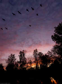 PA111006.jpg (333389 bytes)