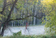 PA171011.jpg (974249 bytes)