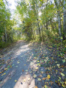 PA171015.jpg (1550496 bytes)