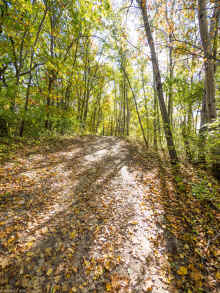 PA171021.jpg (2069857 bytes)