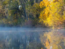 PA231109.jpg (1231738 bytes)