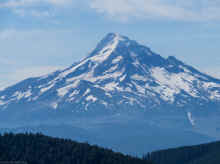 P8021374_40.jpg (204489 bytes)