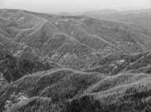 P8021382_40.jpg (496095 bytes)