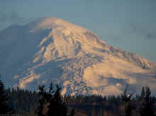 PA261115_40.jpg (196490 bytes)