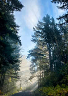 IMG_5178_60.jpg (694254 bytes)