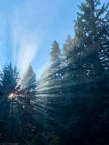 IMG_5182_60.jpg (419907 bytes)