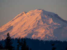 PB091243_40.jpg (173641 bytes)