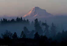 PB241396_40.jpg (229208 bytes)