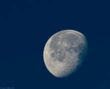 PC121492.jpg (1409918 bytes)