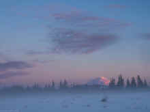 P1061548_40.jpg (118382 bytes)