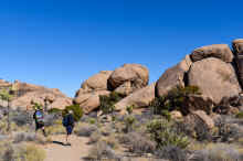 DSC_0142_03_60.jpg (1186998 bytes)