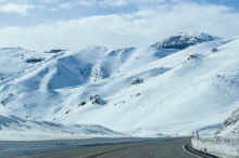 DSC_0219_02_60.jpg (698298 bytes)