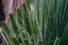 DSC_0782_02_60.jpg (481567 bytes)