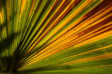 DSC_0816_02_60.jpg (768346 bytes)