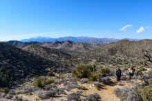 DSC_0965_02_60.jpg (1449791 bytes)