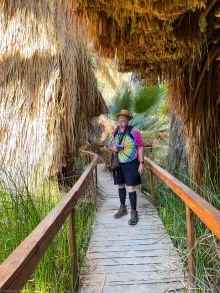 IMG_2934_60.jpg (1028371 bytes)