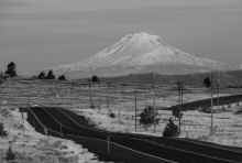 P2020119_60.jpg (486050 bytes)