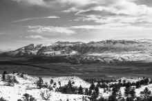 P2030205_60.jpg (643571 bytes)