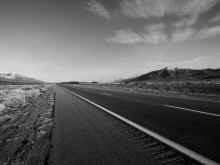 P2040248_60.jpg (779378 bytes)