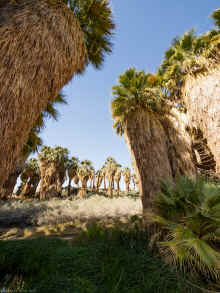 P2050366_60.jpg (1303320 bytes)