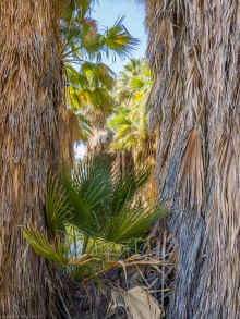 P2050367_60.jpg (1373449 bytes)