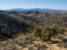 P2050414_60.jpg (1234263 bytes)