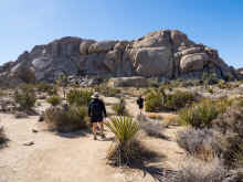 P2060484_60.jpg (1046088 bytes)