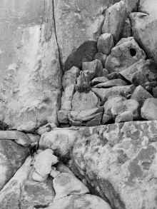 P2060495_60.jpg (1227663 bytes)