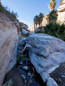 P2070568_40.jpg (499933 bytes)