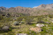 P2070570_60.jpg (1220418 bytes)