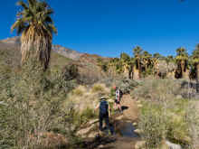 P2070574_60.jpg (1243680 bytes)