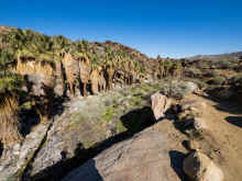 P2070599_60.jpg (1124558 bytes)