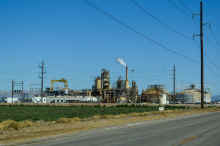 DSC_0116_04_60.jpg (532374 bytes)