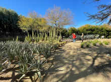 IMG_3019_60.jpg (1037605 bytes)