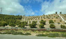 IMG_3044_60.jpg (489739 bytes)