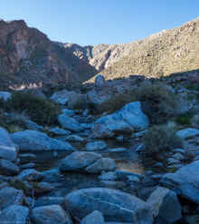 P2090693_60.jpg (717234 bytes)