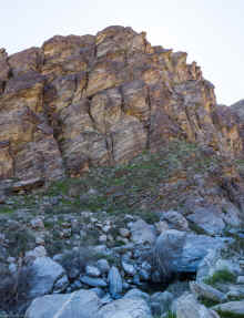 P2090696_60.jpg (781419 bytes)