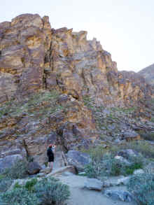 P2090698_60.jpg (1003195 bytes)