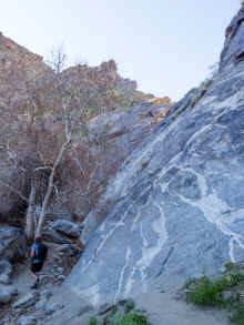 P2090711_60.jpg (1042177 bytes)