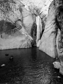 P2090712_60.jpg (845547 bytes)