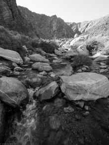 P2090736_60.jpg (888868 bytes)