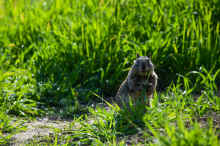 DSC_0791_04_60.jpg (750441 bytes)