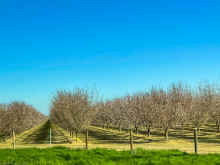 IMG_3090_60.jpg (373039 bytes)