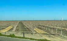 IMG_3093_60.jpg (338480 bytes)