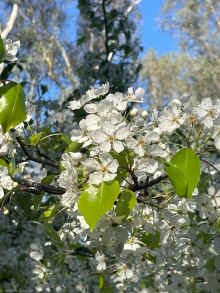 IMG_3104_60.jpg (401910 bytes)