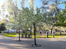 IMG_3105_60.jpg (1049379 bytes)