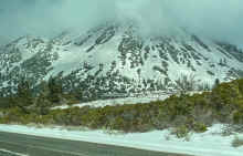 IMG_3120_60.jpg (545915 bytes)