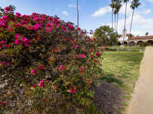 P2120975_60.jpg (1139898 bytes)