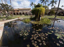 P2120987_40.jpg (428342 bytes)